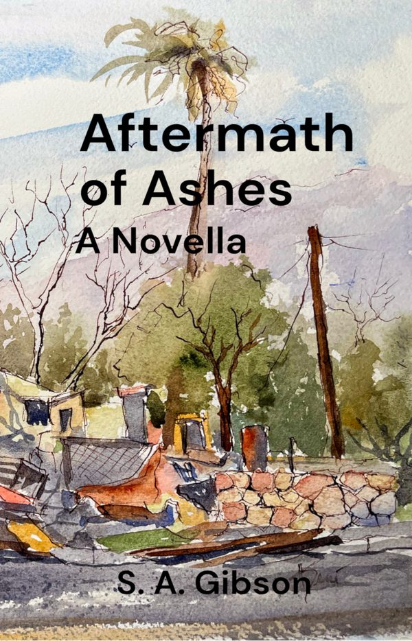 Cover of Aftermath of Ashes